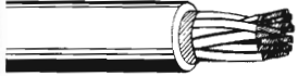 LSMU, LSMUS